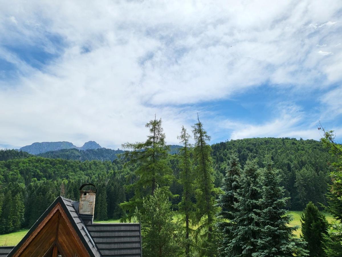 Willa Na Potoku Zakopane Kültér fotó