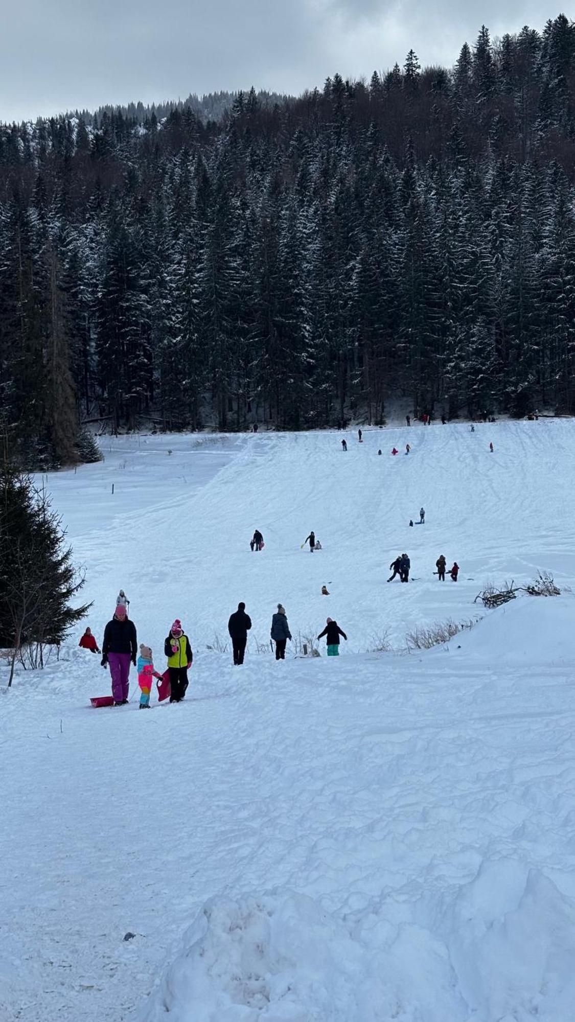 Willa Na Potoku Zakopane Kültér fotó